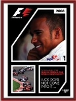 2008 F1 Season Review DVD